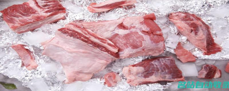 冷冻肉类一般可以保存多久(冷冻肉类一般可以保存多久保鲜)