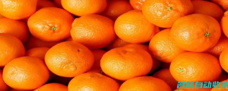 桔子和橘子一样吗(桔子和橘子一样的水果)