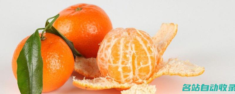 橘子是什么(橘子是什么科植物)