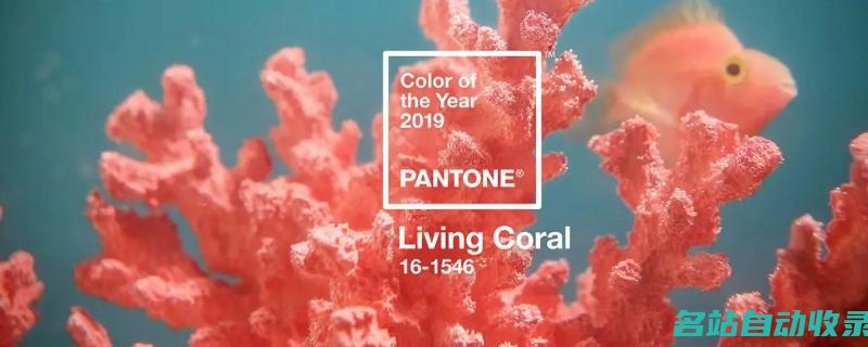 珊瑚色是什么色(珊瑚色好看吗)